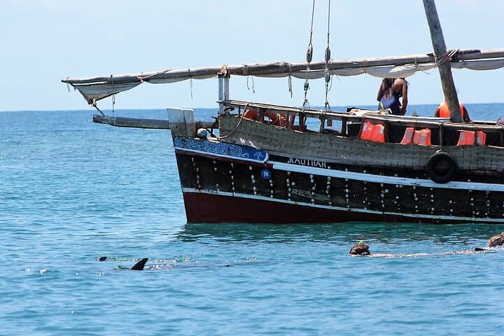 Wasini Dolphin Snorkeling & Kisite Mpunguti Marine Park Day Trip from Shimoni photo 4