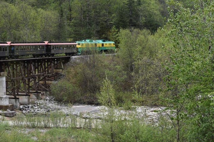 Explore Skagway and White Pass Summit: An Iconic Alaskan Minivan Tour photo 5