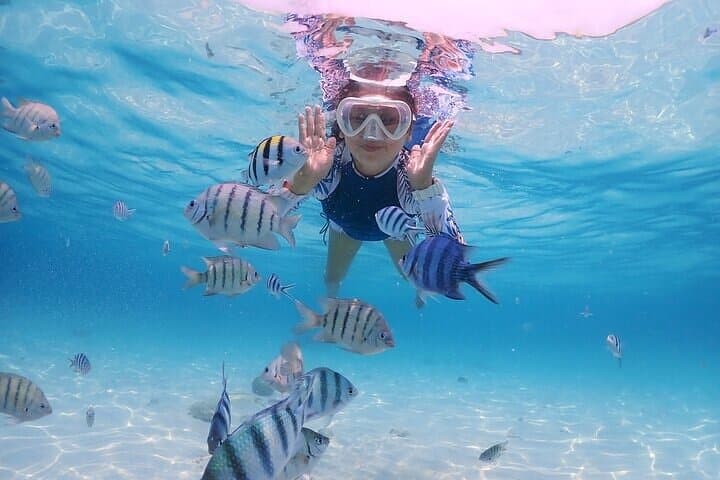 Bali Blue Lagoon Snorkel and Waterfall Day Trip — Snorkel, Swim, and Coffee Plantation Stop photo 6