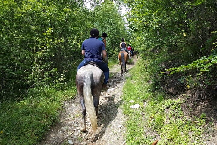 Transylvanian Horseback Adventure: Ride Through Brasov's Hills and Forests photo 2