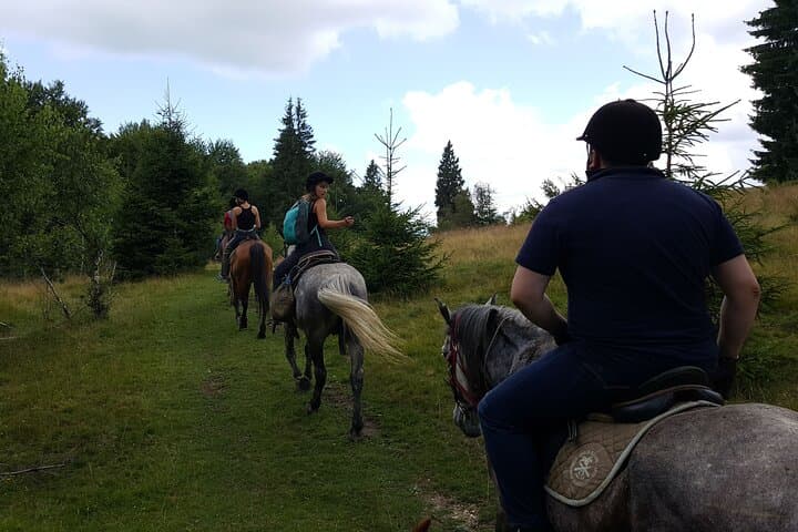Transylvanian Horseback Adventure: Ride Through Brasov's Hills and Forests photo 3