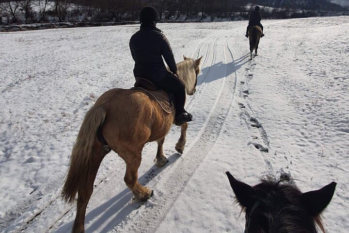 Transylvanian Horseback Adventure: Ride Through Brasov's Hills and Forests photo 4