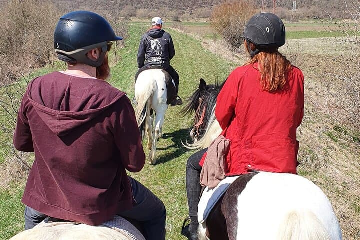 Transylvanian Horseback Adventure: Ride Through Brasov's Hills and Forests photo 5