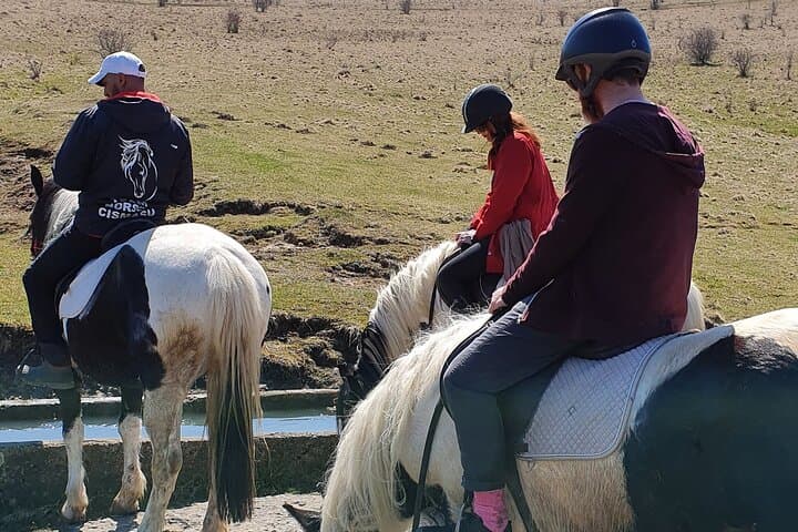 Transylvanian Horseback Adventure: Ride Through Brasov's Hills and Forests photo 6