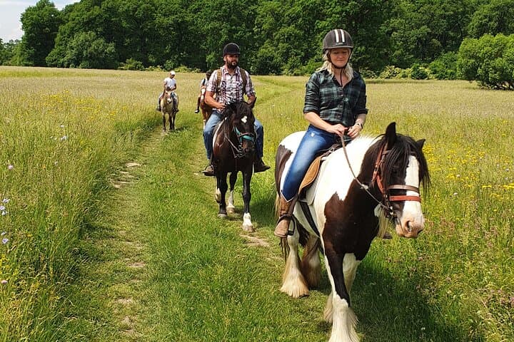 Transylvanian Horseback Adventure: Ride Through Brasov's Hills and Forests