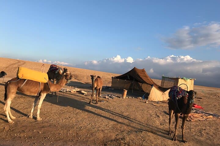 Sunset Camel Ride in Agafay Desert — Marrakech Day Trip & Practical Tips photo 4
