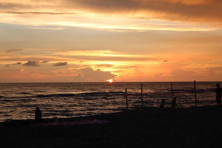 3-Hour Private Sarasota Boat Tour: Siesta Key, Lido Key & Sarasota Bay photo 2