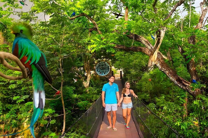 Xcaret Park Plus: Full-Day Eco-Archaeological Adventure from Cancun photo 2