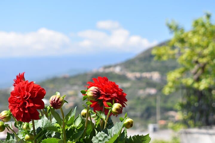 Private Mount Etna Tour with Trattoria Lunch and Honey Tasting photo 6