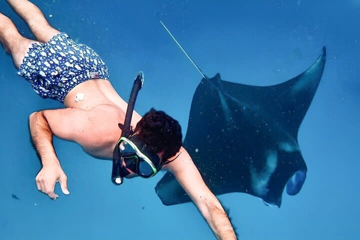 Explore Nusa Penida: Snorkeling with Manta Rays and Island Wonders