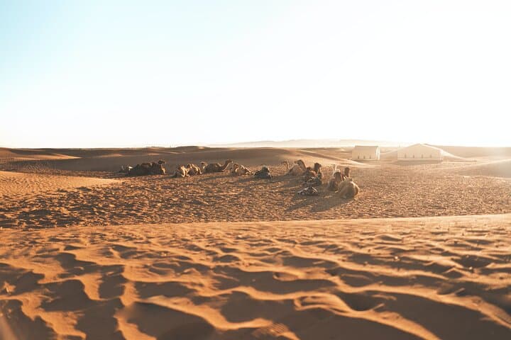 2-Day Zagora Desert Trip from Marrakech — Ait Benhaddou, Ouarzazate & Camel Camp
