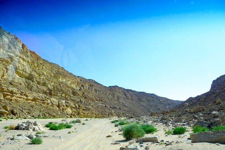 Hurghada Sunset Desert Experience — Canyon, Oasis & Stargazing photo 5