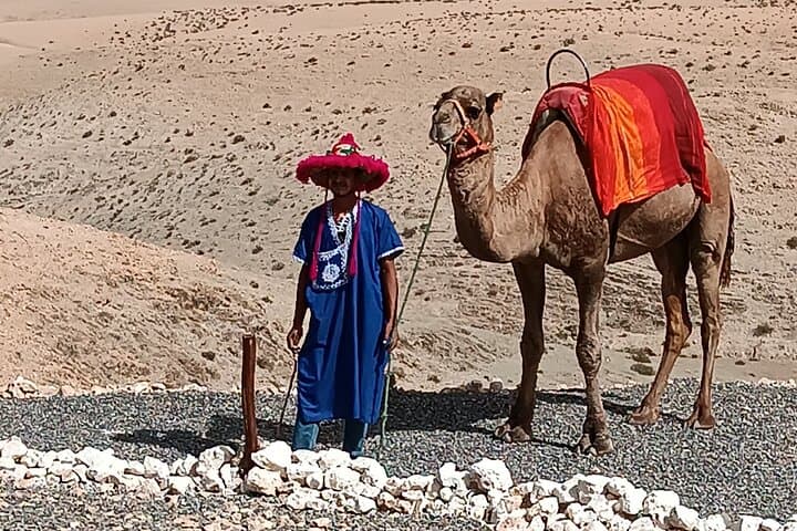 Sunset Camel Ride and Quad Biking Adventure in Agafay Desert with Berber Dinner photo 6