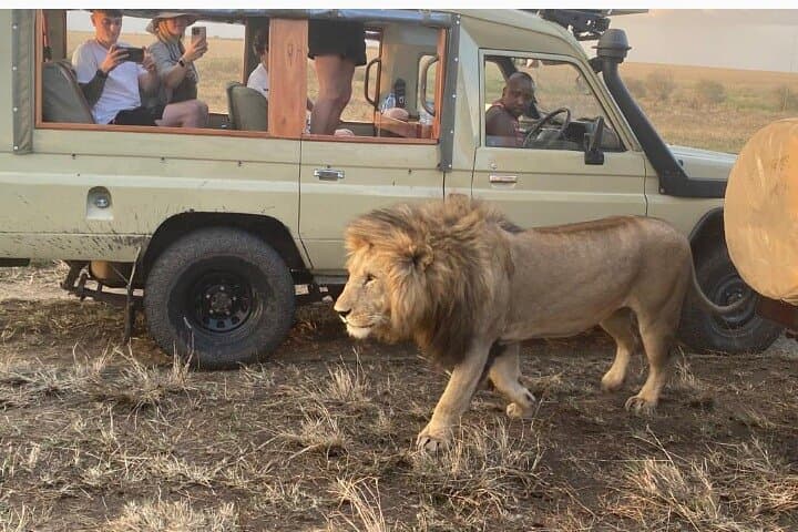 3-Day Masai Mara Jeep Safari — Big Five Game Drives from Nairobi photo 1