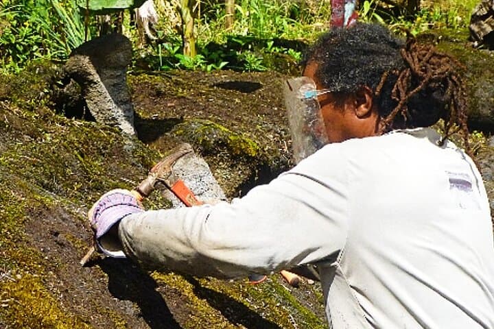 Hawaiian Tiki Trail: Lava Rock Sculptures & Ohia Tea in Fern Forest photo 1