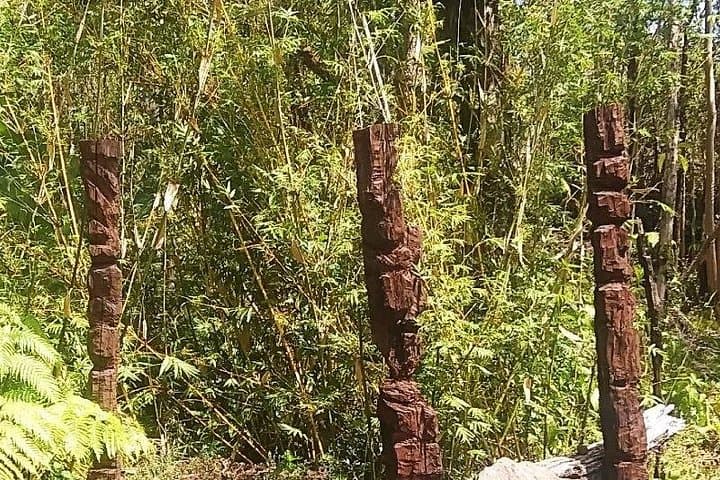 Hawaiian Tiki Trail: Lava Rock Sculptures & Ohia Tea in Fern Forest photo 3