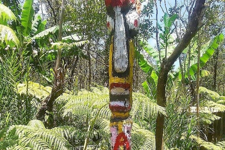 Hawaiian Tiki Trail: Lava Rock Sculptures & Ohia Tea in Fern Forest photo 4