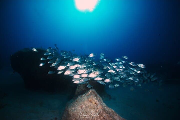 Discover Lanzarote's Underwater Shores: Guided Snorkeling in Playa Blanca