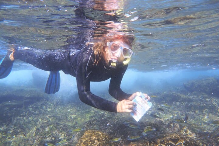 Discover Lanzarote's Underwater Shores: Guided Snorkeling in Playa Blanca photo 5