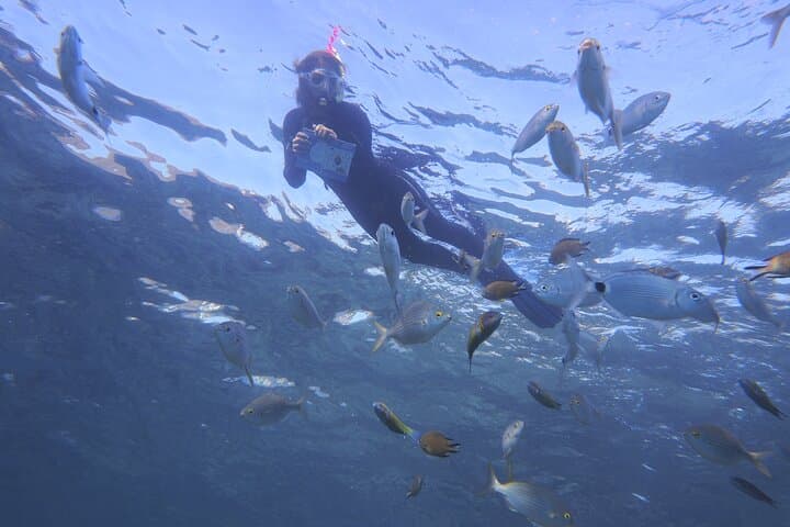 Discover Lanzarote's Underwater Shores: Guided Snorkeling in Playa Blanca photo 6