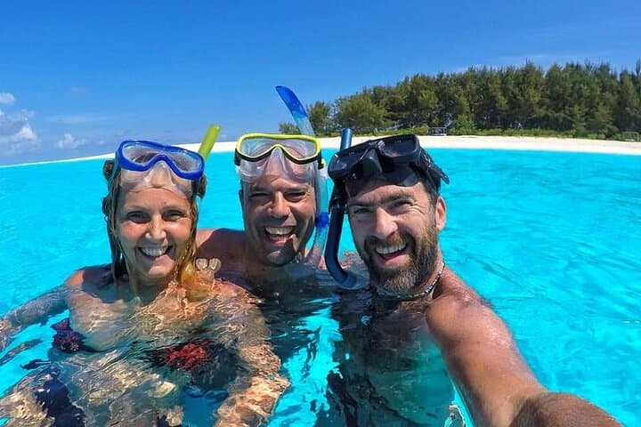 Dolphin Watching, Mnemba Snorkel & Sandbank Day Trip from Zanzibar photo 4