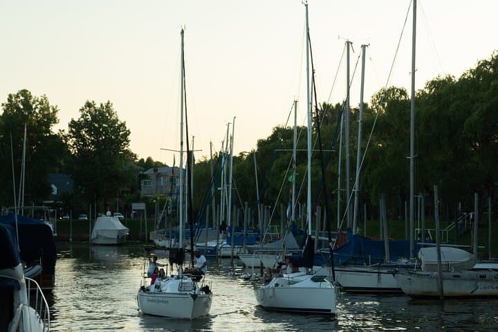 Sail the Río de la Plata: Photography & Birdwatching in the Tigre Delta photo 6