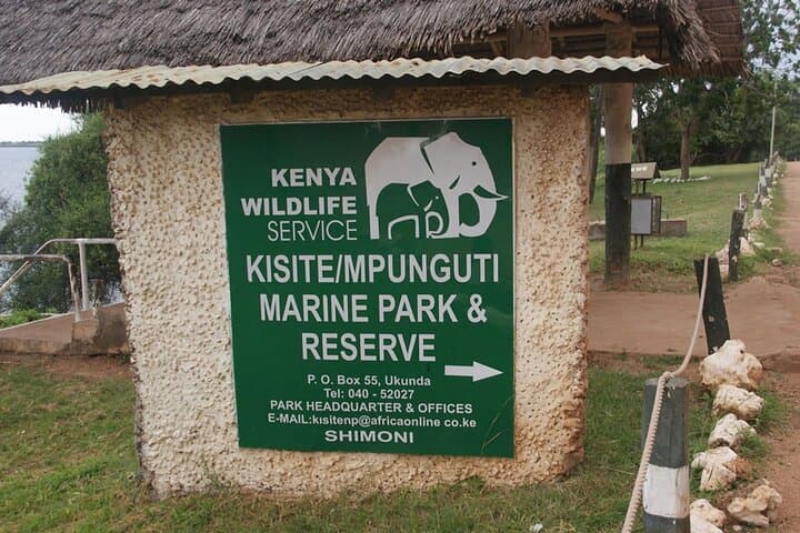 Wasini Dolphin Snorkeling & Kisite Mpunguti Marine Park Day Trip from Shimoni photo 2