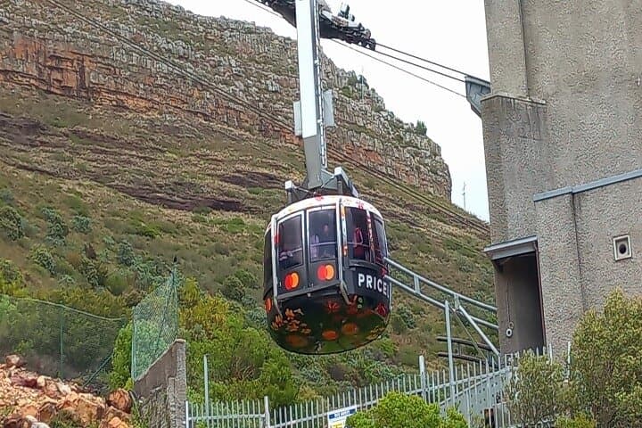 Two-Day Cape Town Highlights: Table Mountain, Robben Island & Cape Point with Penguins photo 5