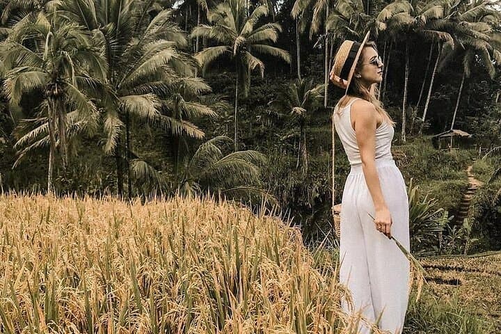 Ubud Private Day Tour: Temples, Tegalalang Rice Terraces & Tegenungan Waterfall photo 1