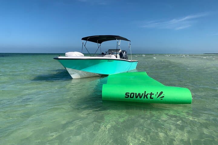Custom Charters in Key West with a Local Captain — Dolphins, Snorkeling & Sandbars