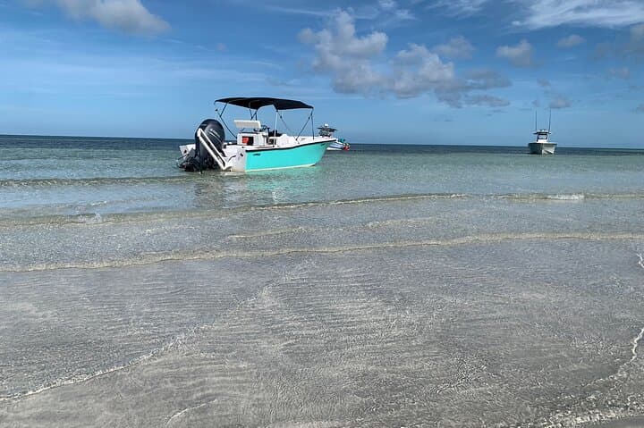Custom Charters in Key West with a Local Captain — Dolphins, Snorkeling & Sandbars photo 2