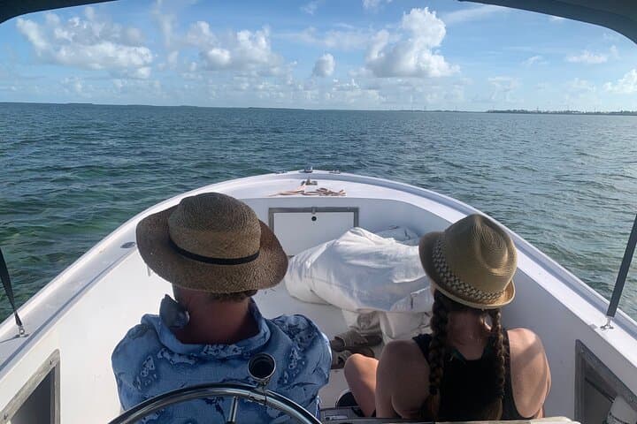 Custom Charters in Key West with a Local Captain — Dolphins, Snorkeling & Sandbars photo 3