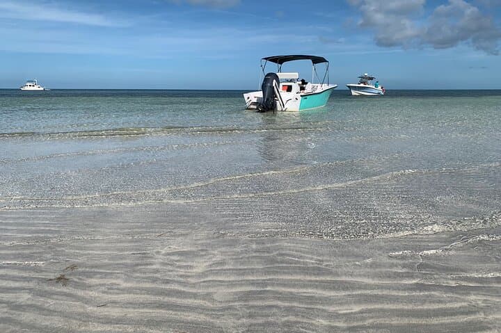 Custom Charters in Key West with a Local Captain — Dolphins, Snorkeling & Sandbars photo 6