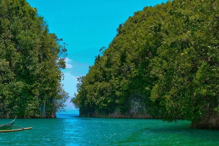 Hermit's Cove & Bojo River Eco Tour — Swim, Snorkel and Mangrove Cruise in Aloguinsan, Cebu