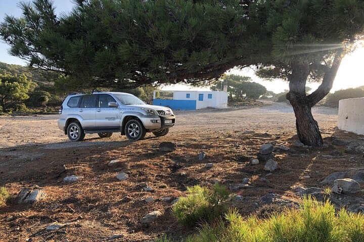 Off-the-Beaten-Track Kefalos & Cavo Paradiso Safari: Plaka Forest, Honey Museum & Swim