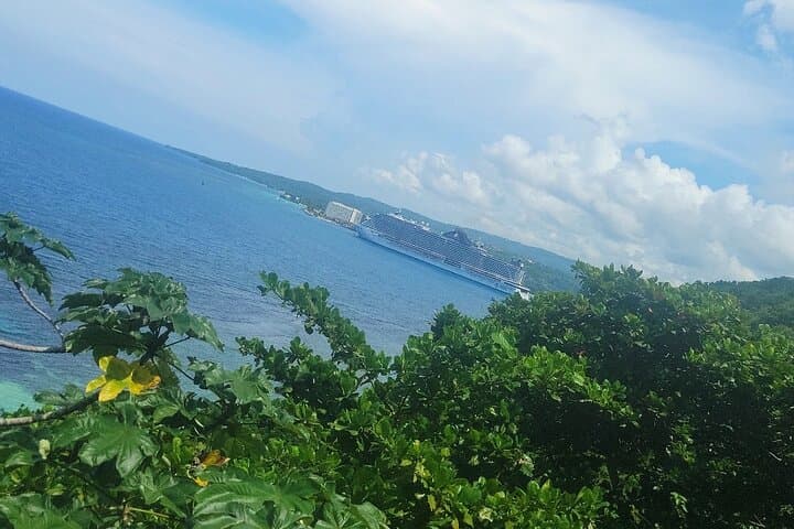 Mystic Mountain Ocho Rios: 2-Hour Private Adventure — Bobsled, Climb & Views