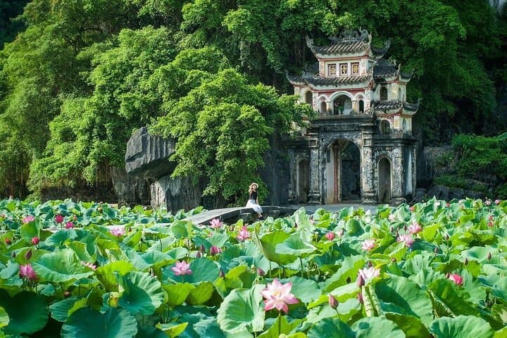 Ninh Binh Full-Day Tour: Hoa Lu, Tam Coc Boats & Mua Cave Viewpoint photo 3