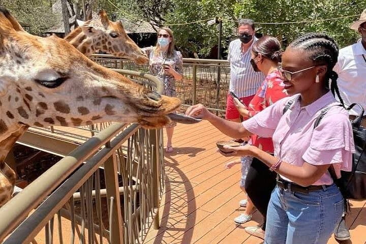 Private Giraffe Centre and Bomas of Kenya Tour from Nairobi photo 4