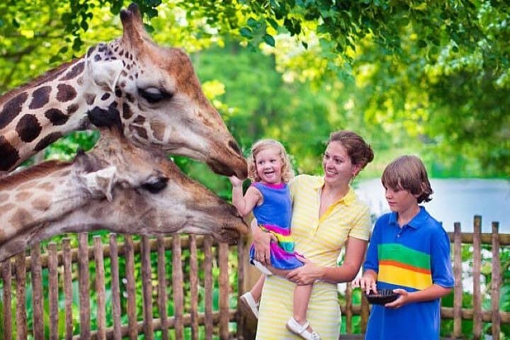 Private Giraffe Centre and Bomas of Kenya Tour from Nairobi photo 6