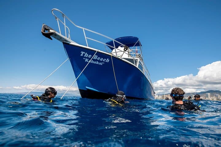 Introductory Scuba Dive in Oahu: Discover Shallow Reefs & Hawaiian Marine Life photo 3