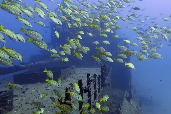Oahu Deep Wreck Dives: Small-Group Shipwreck & Reef Adventure