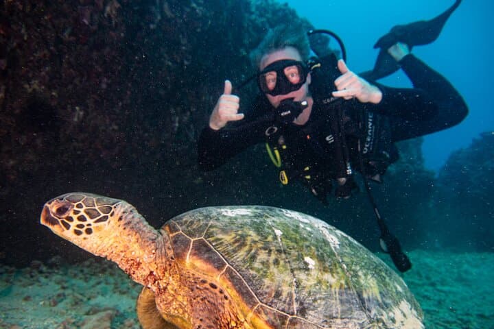 Oahu Deep Wreck Dives: Small-Group Shipwreck & Reef Adventure photo 5