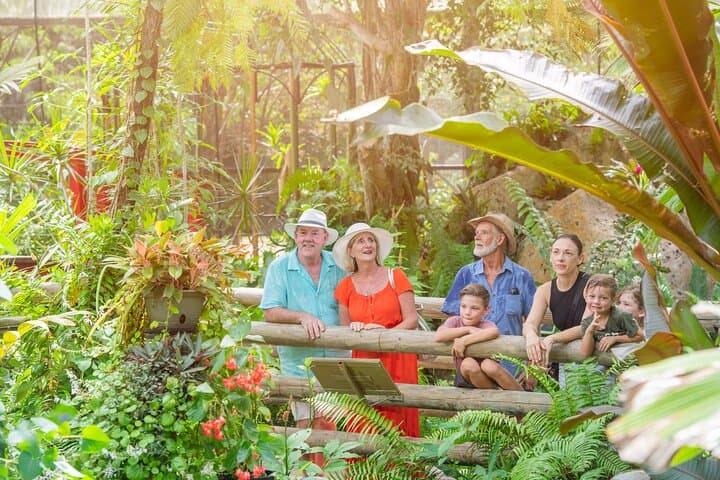 Kuranda Scenic Railway & Skyrail from Port Douglas: Full-Day Rainforest Experience photo 6