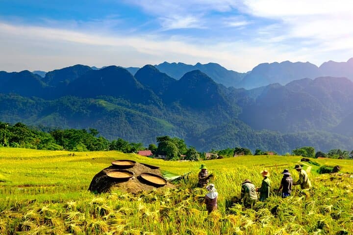Pu Luong Private Day Tour from Hanoi: Biking, Bamboo Rafting & Rice Terrace Walks photo 4