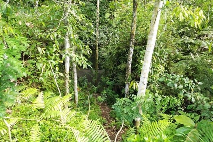 2-Day Spiritual Bali Tour: Tirta Empul, Besakih & Traditional Ceremonies photo 4