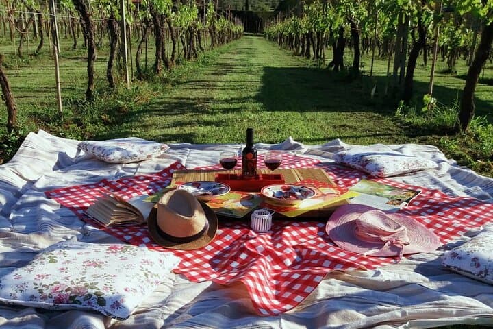 Self-Guided Lucca Bike Tour and Winery Picnic in the Tuscan Hills