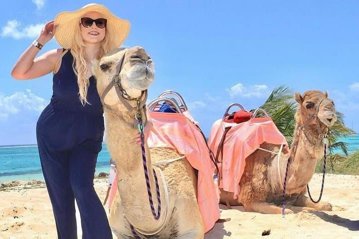 Camel Expedition on Maroma Beach — Riviera Maya Camel Ride & Beach Club photo 4