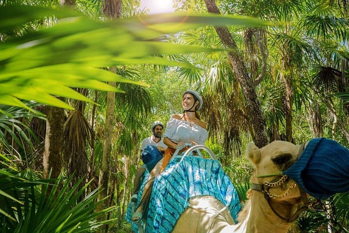 Camel Expedition on Maroma Beach — Riviera Maya Camel Ride & Beach Club photo 1