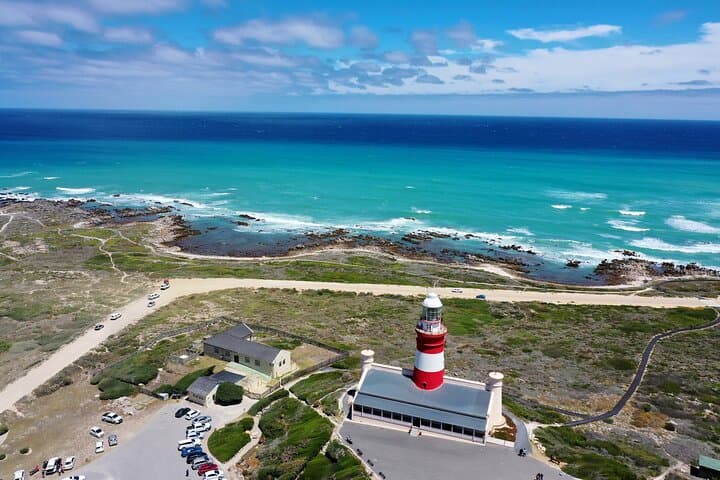 Hermanus to Cape Agulhas: Private Full-Day Whale, Penguin & Southern Tip Tour photo 4