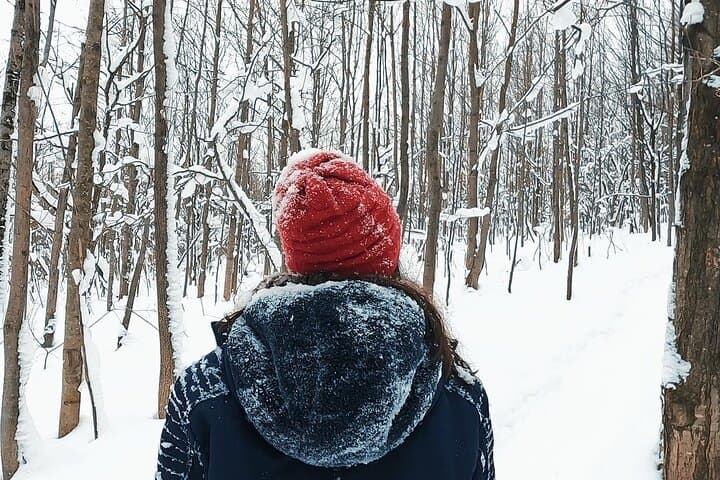 Blue Mountain & Scenic Caves Snowshoe Day Trip (Collingwood) photo 5